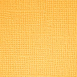 Doodlebug Design 12X12 BUMBLEBEE Cardstock Paper Pack 5pc