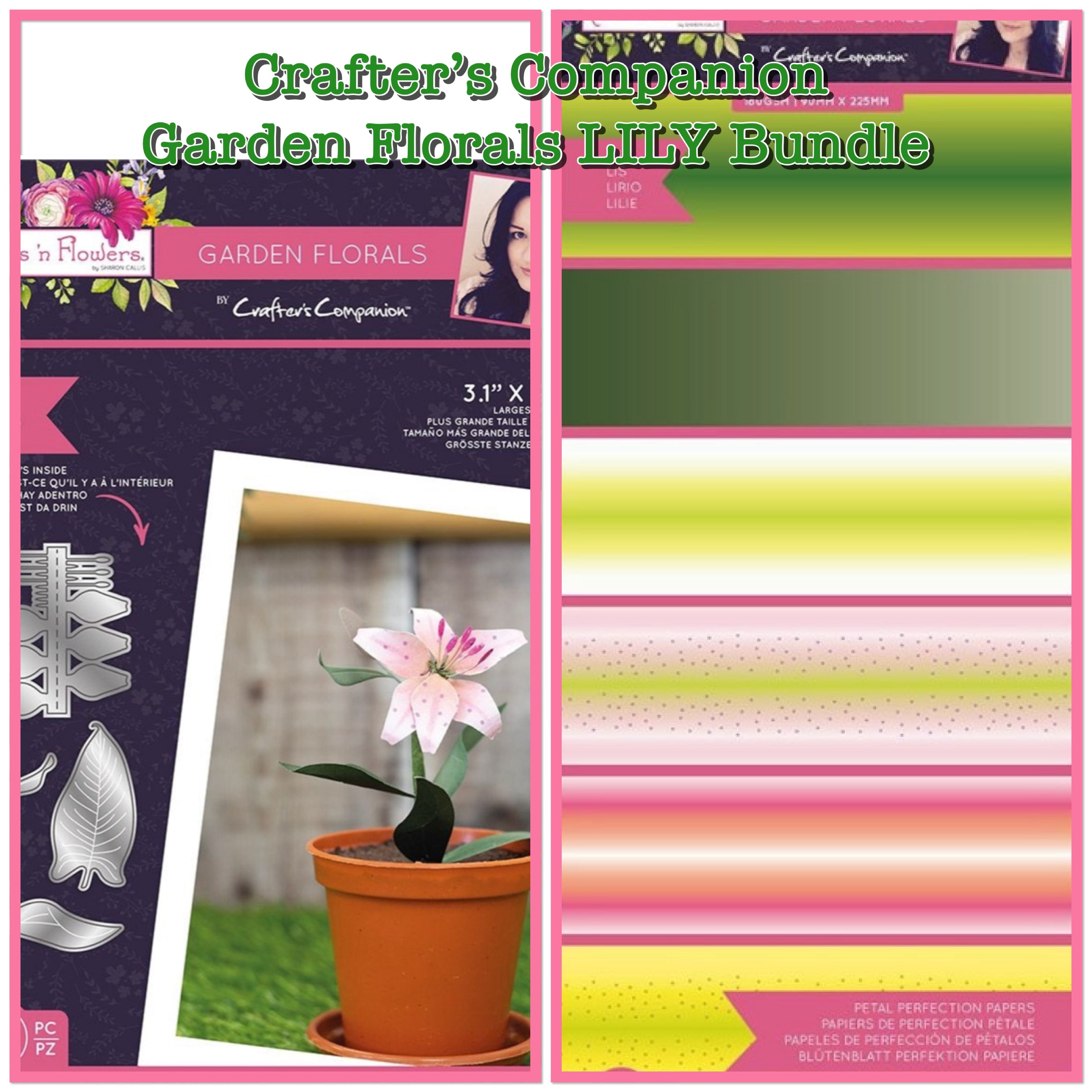 Crafter’s Companion Garden Florals LILY BUNDLE Flower Die