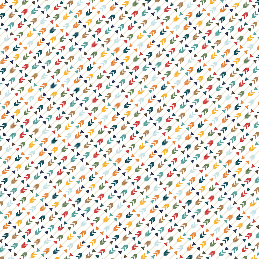 Echo Park Into The Wild 3X4 JOURNALING CARDS 12”X12” Scrapbook Paper