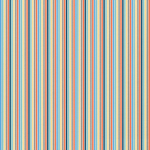 Scrapbooksrus PADDLE BOARD KIT 12"x12" Scrapbook Paper Stickers 5pc