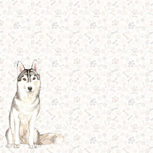 Scrapbook Customs SIBERIAN HUSKY DS Watercolor 12"X12" Scrapbook Paper