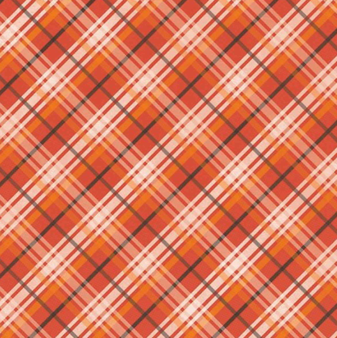 Paper House THE GREAT OUTDOORS 12X12 Scrapbook Sheet