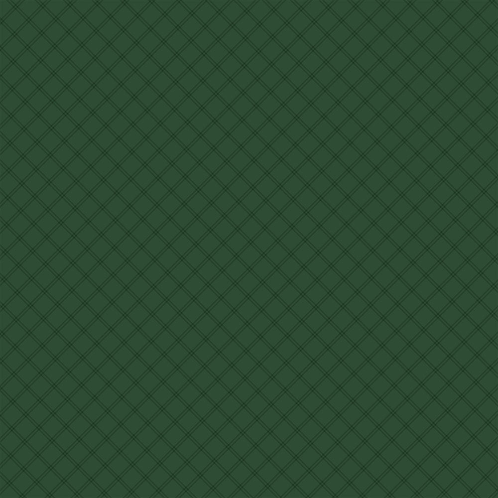 Echo Park GNOME FOR CHRISTMAS 12"X12" Scrapbook Paper