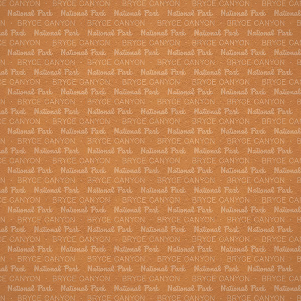 Scrapbook Customs NATIONAL PARK MAP AND WORDS 12"X12" Scrapbook Paper