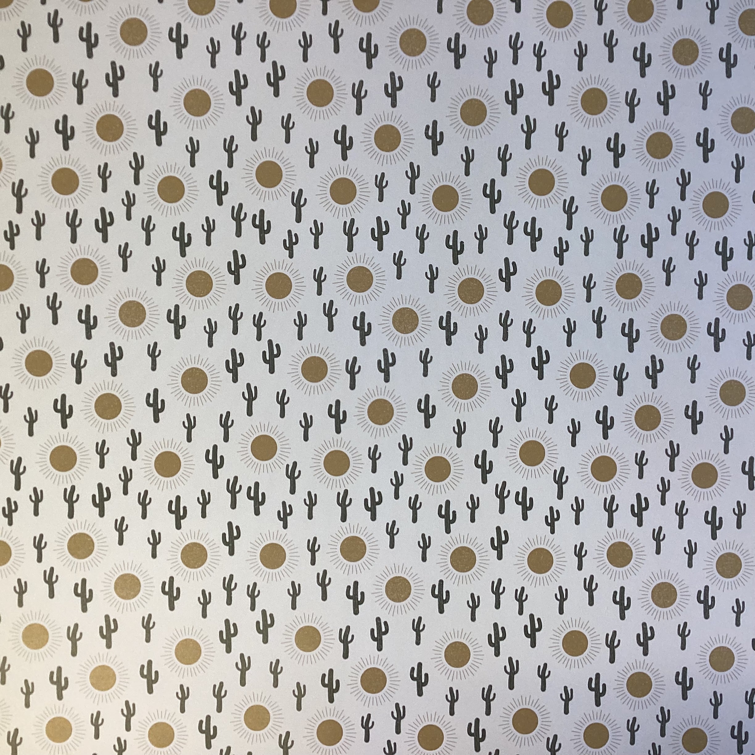Arizona SUN And CACTUS 12"X12" Scrapbook Paper