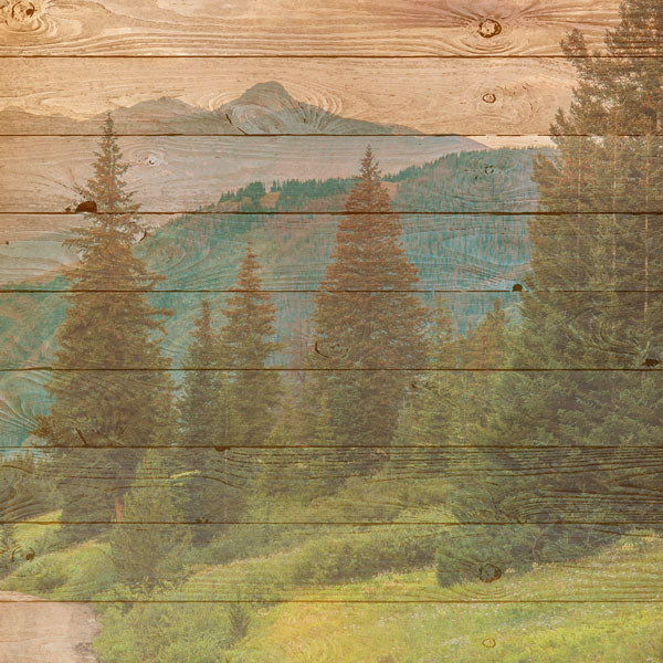 OUTDOORS, LIFE IS BETTER DS 12"X12" Paper Scrapbook Customs