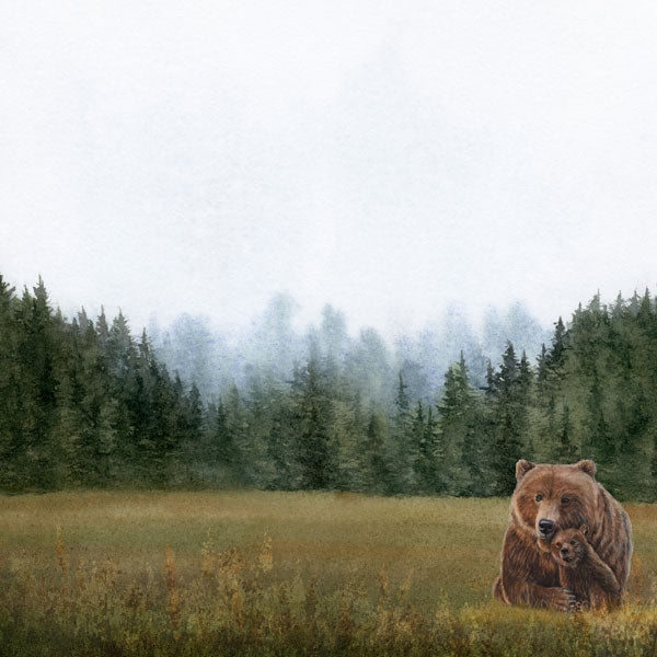 Scrapbook Customs BEAR DS Watercolor 12"X12" Scrapbook Paper