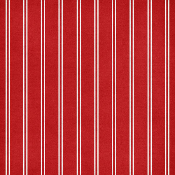 SOFTBALL LIFE 5a 12X12 Paper Scrapbook Customs Sports Sheet