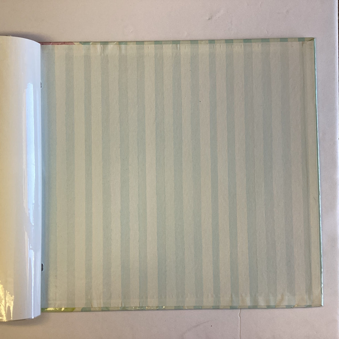 Miss Elizabeth’s BABY 12”X12” Scrapbook Album