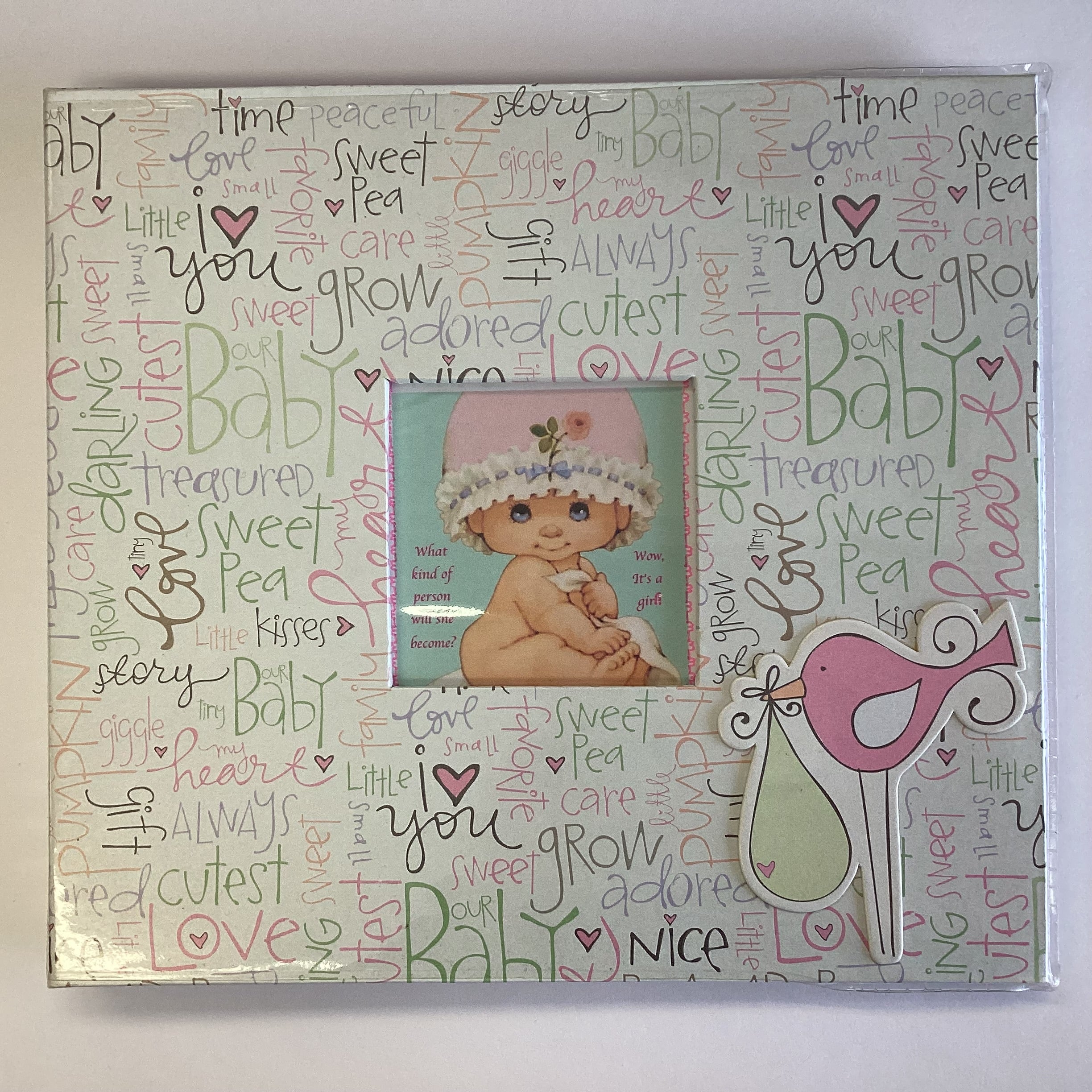 Heidi Grace BABY 8”X8” Scrapbook Album