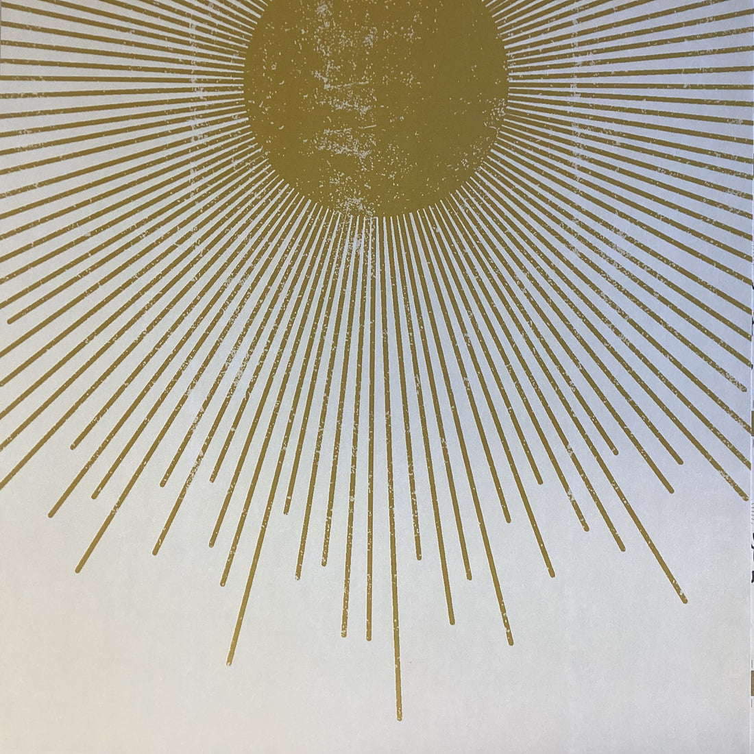 Arizona SUN And CACTUS 12"X12" Scrapbook Paper