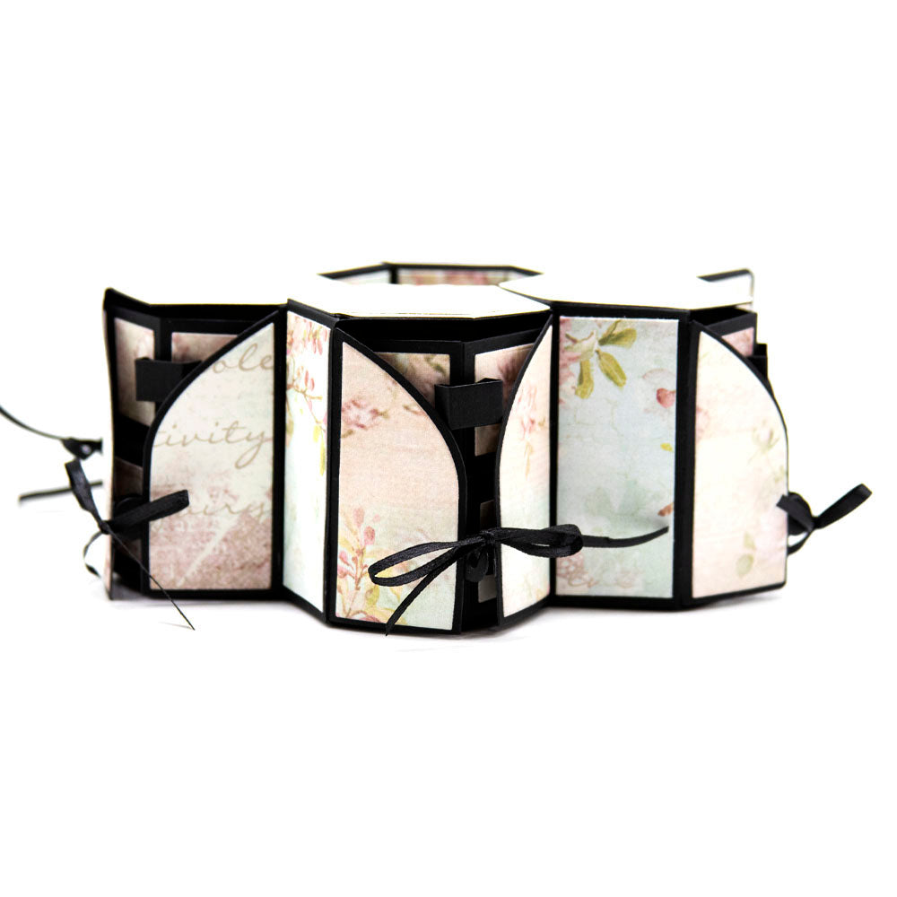 Tonic Studios HIDDEN LIAISON HEXAGON Box Die Set