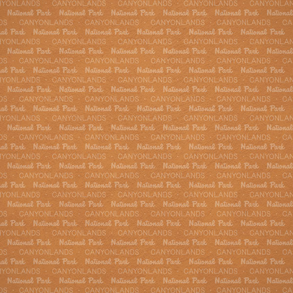 Scrapbook Customs NATIONAL PARK MAP AND WORDS 12"X12" Scrapbook Paper