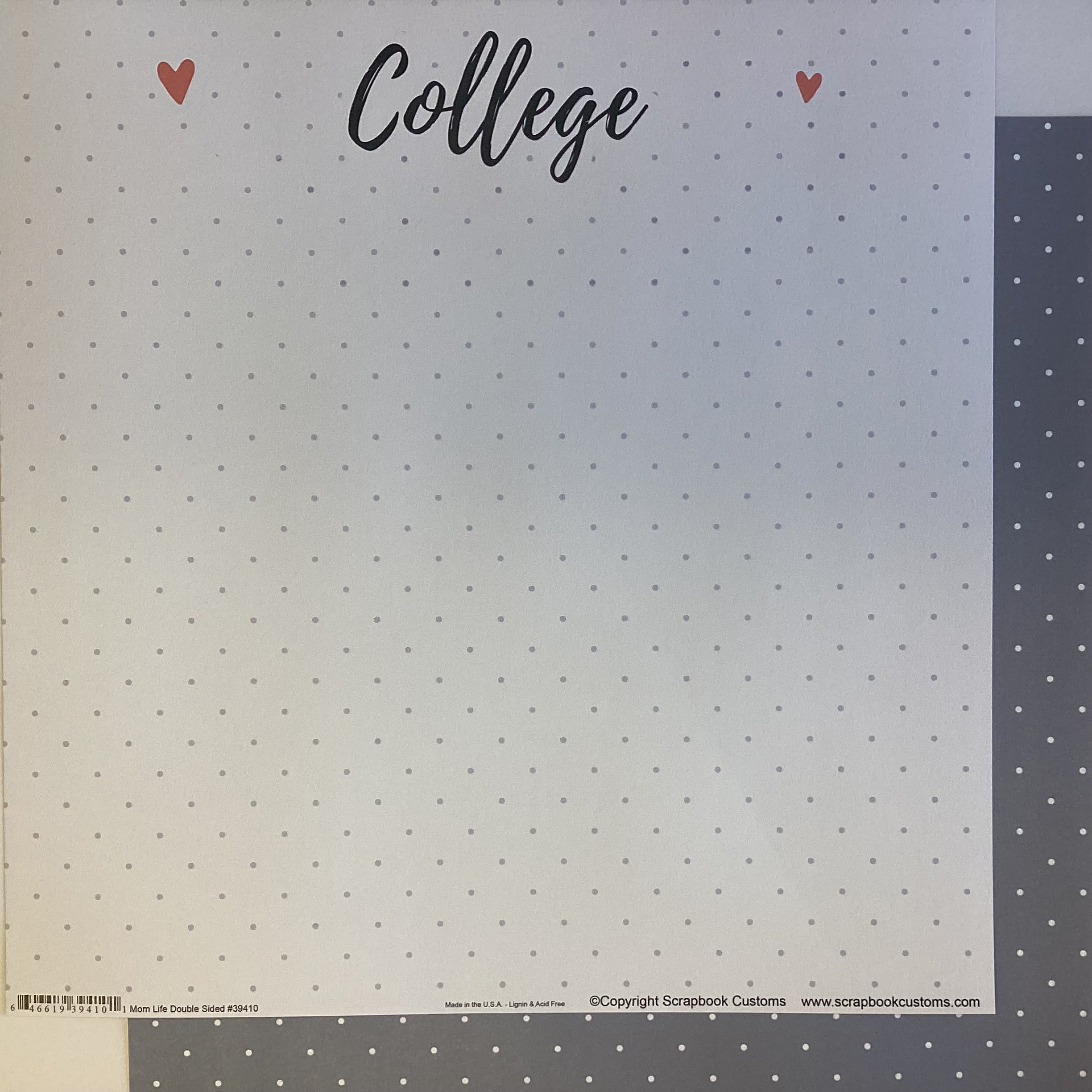 Scrapbook Customs COLLEGE LIFE DS 12X12 Scrapbook Paper