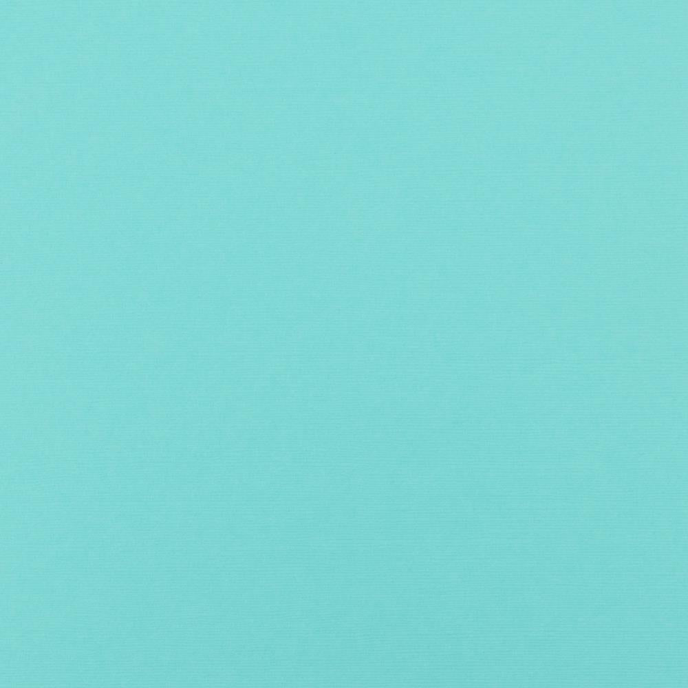 BAZZILL CARDSTOCK 12"X12" 1 Sheet Solid Core