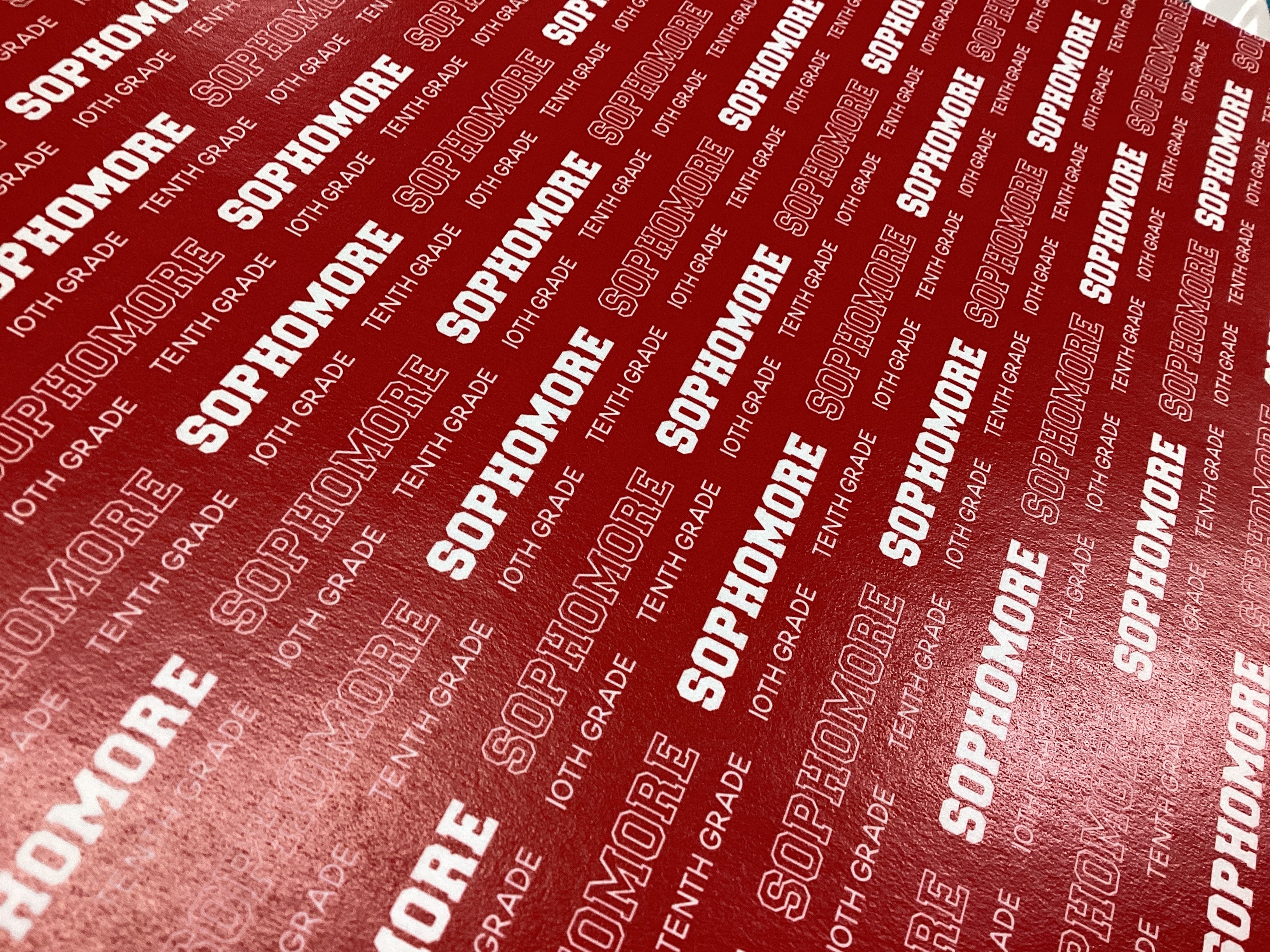 SOPHOMORE PRIDE Red School 12"X12" Scrapbook Paper