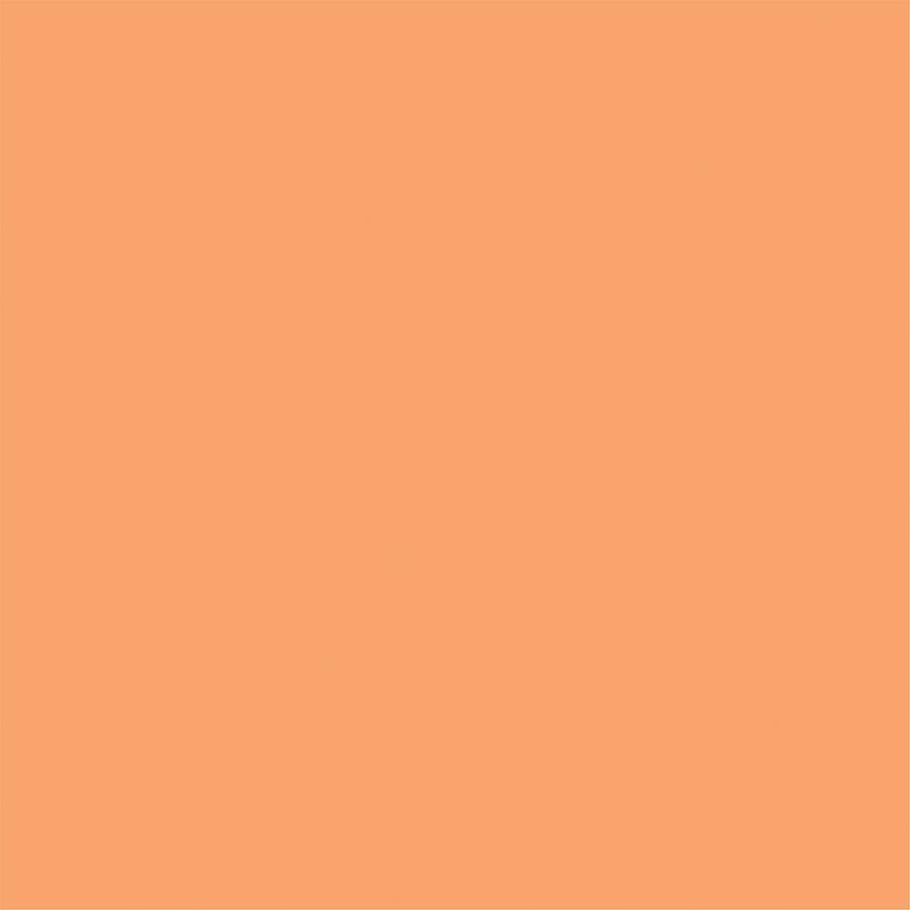 Echo Park Summer Dreams DARK PINK ORANGE Solids 12"X12" Scrapbook Cardstock