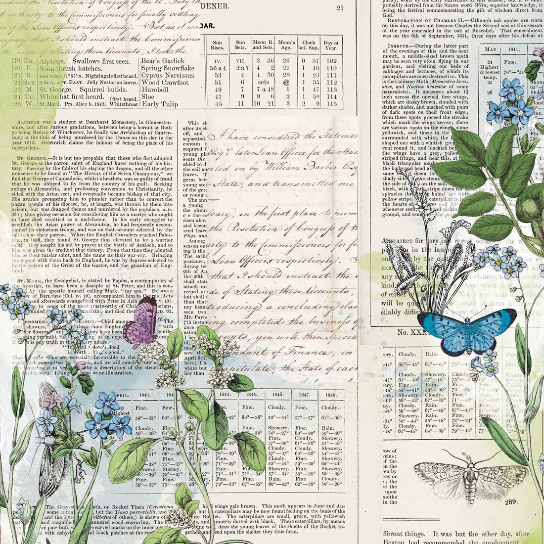 49 and Market Curators Botanical RECORDS 12"X12" Scrapbook Paper