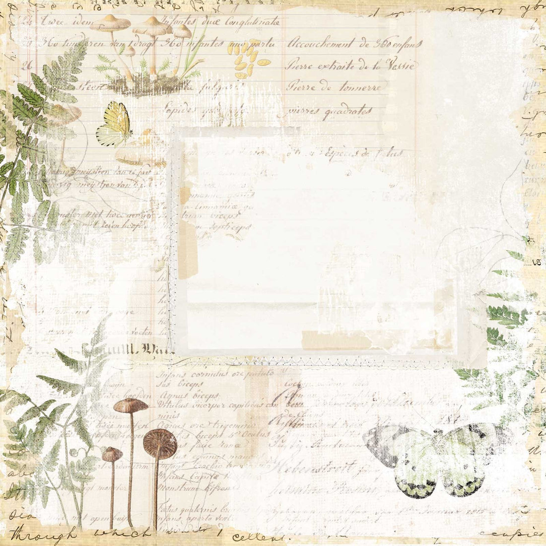 49 and Market Vintage Artistry Nature Study FUSION 12"X12" Scrapbook Paper