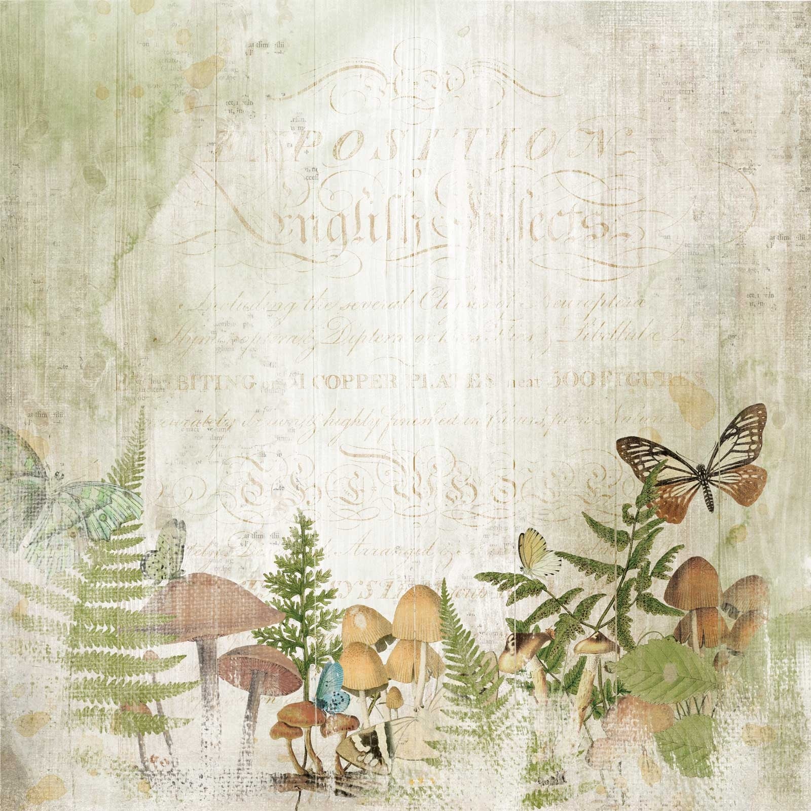 49 and Market Vintage Artistry Nature Study NATURAL HABITAT 12"X12" Scrapbook Paper