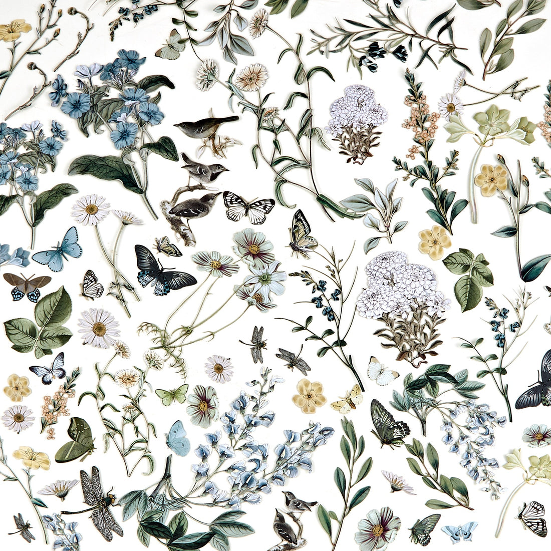 49 and Market Vintage Artistry Moonlit Garden WILDFLOWER LASER CUTS 77pc