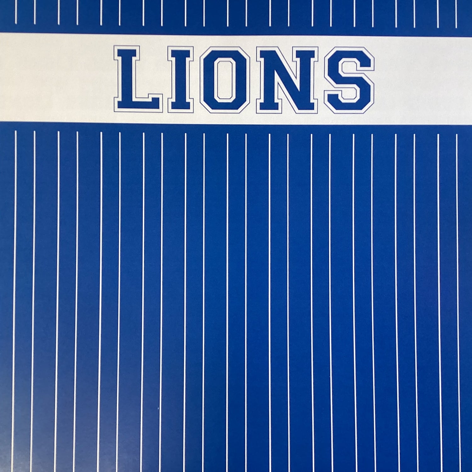 Scrapbooksrus LIONS FOOTBALL 12"X12" Scrapbook Paper Kit 12 Sheets