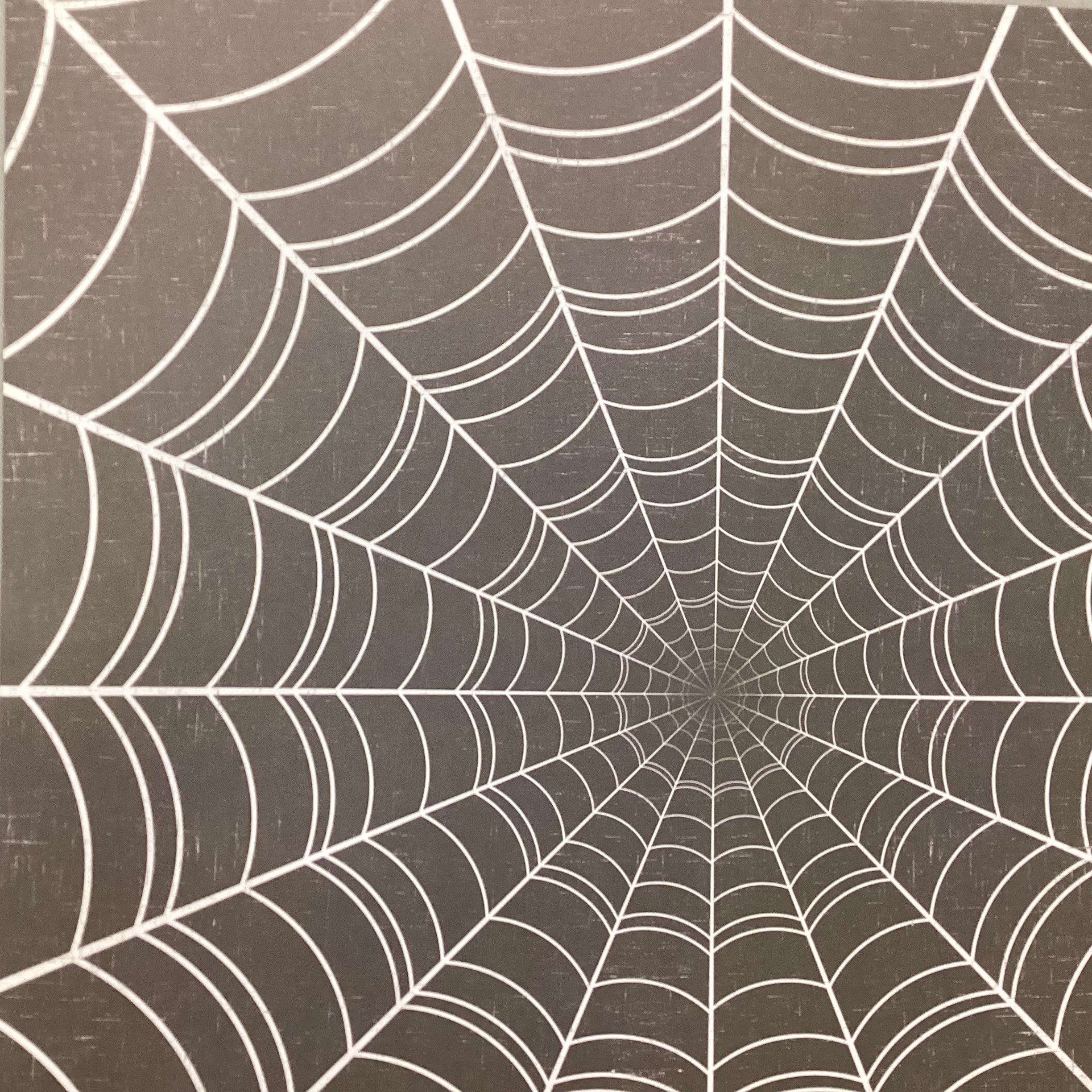 We R Bewitched SPIDER WEB 12"X12" Scrapbook Paper