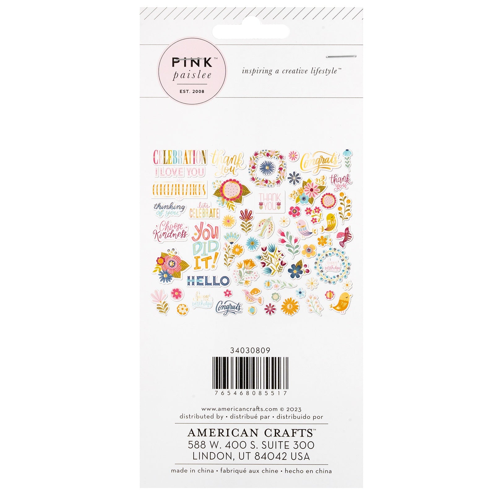 Pink Paislee JOYFUL NOTES Ephemera 61pc