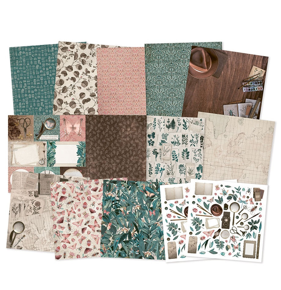 P13 NATURALIST Bugs 12"X12" Designer Paper Pack 14pc