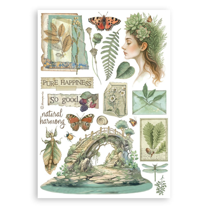 Stamperia HERBARIUM SILVAE Washi Pad