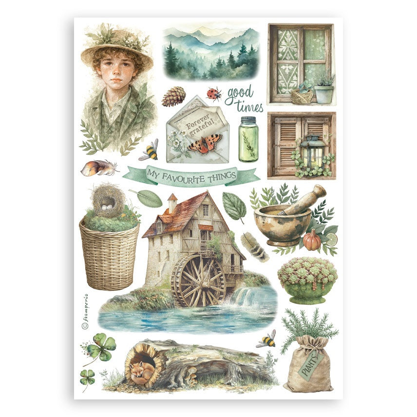 Stamperia HERBARIUM SILVAE Washi Pad