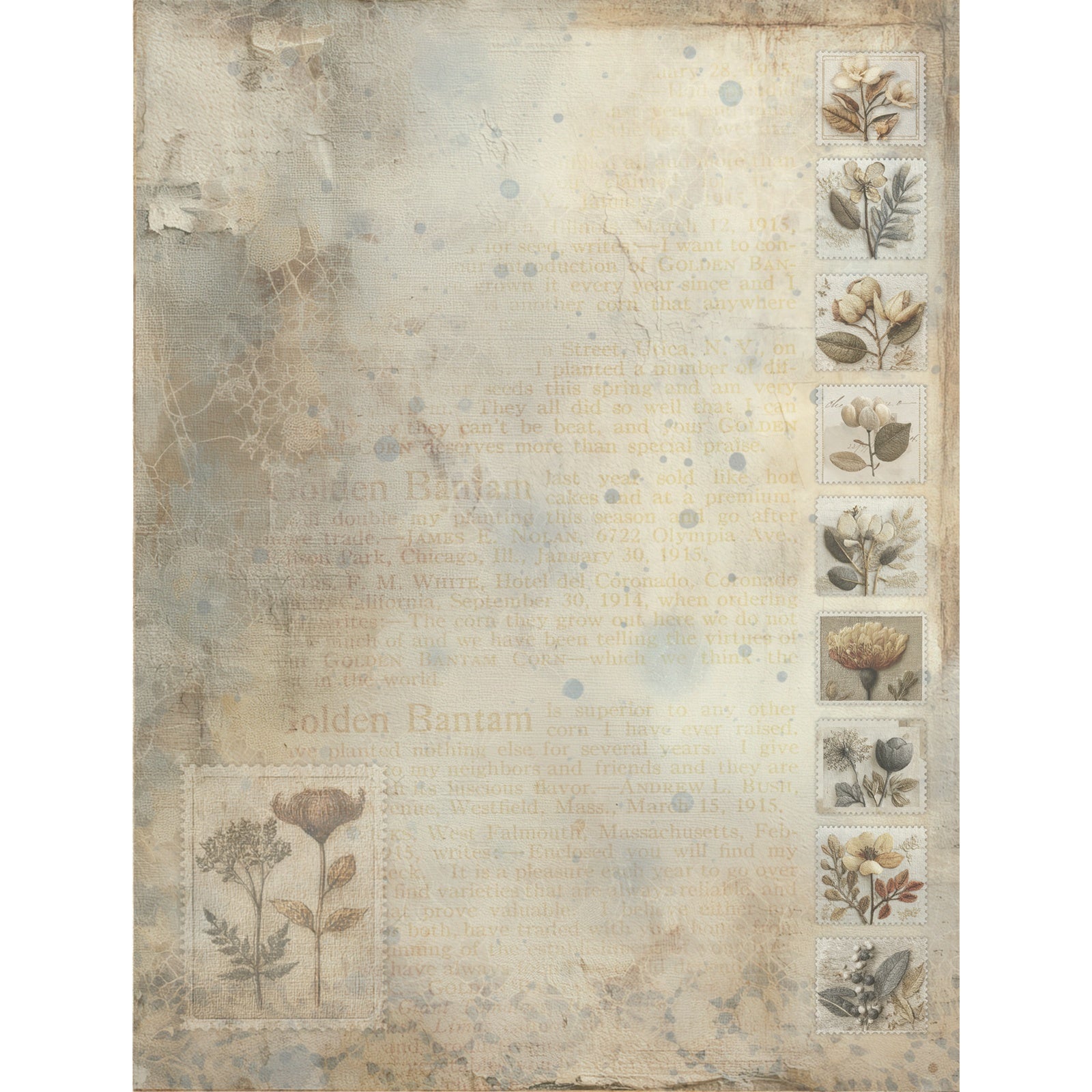 49 and Market FADED MEMORY LANE 6X8 Collection Pack