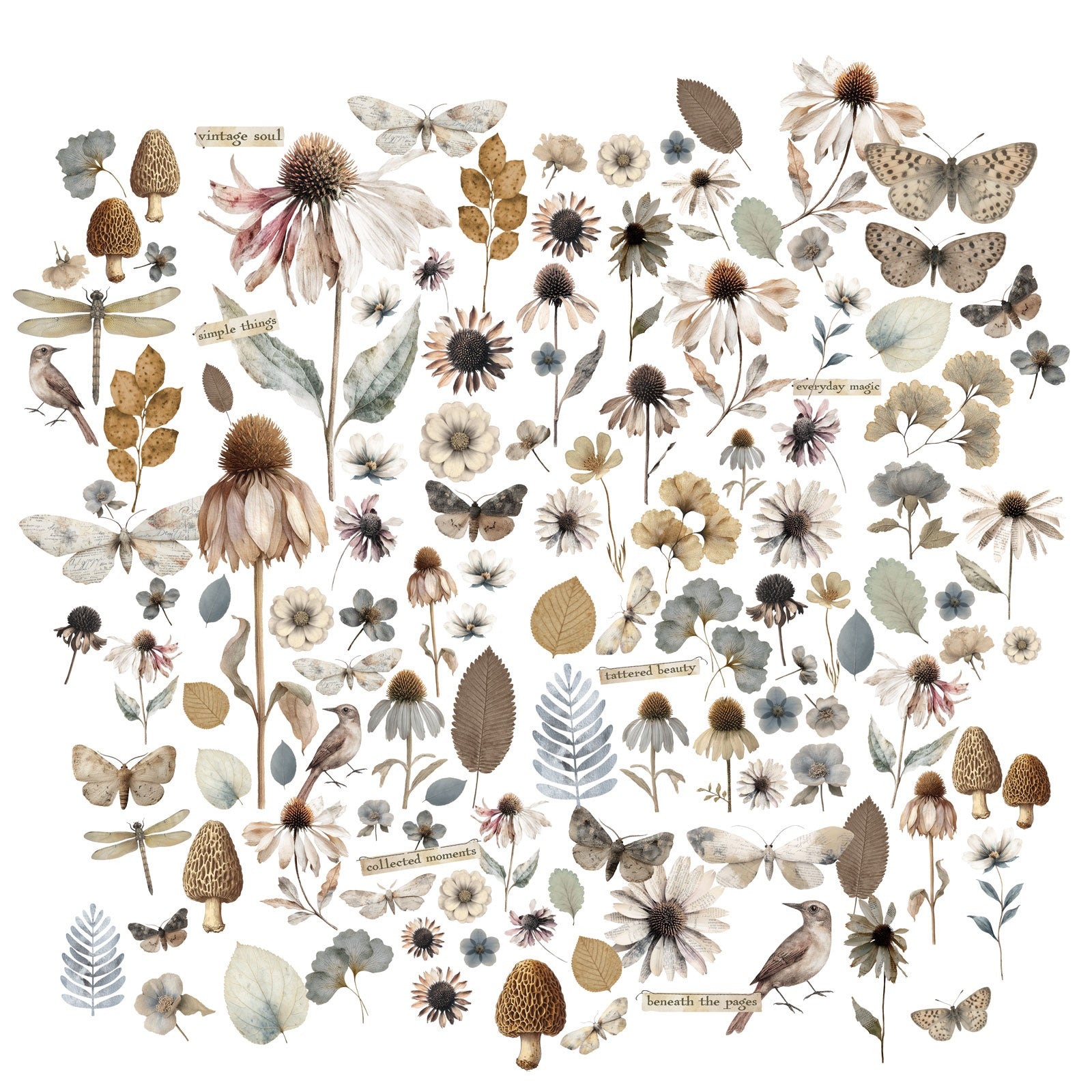 49 and Market FADED MEMORY LANE Wildflower Laser Cuts 127pc
