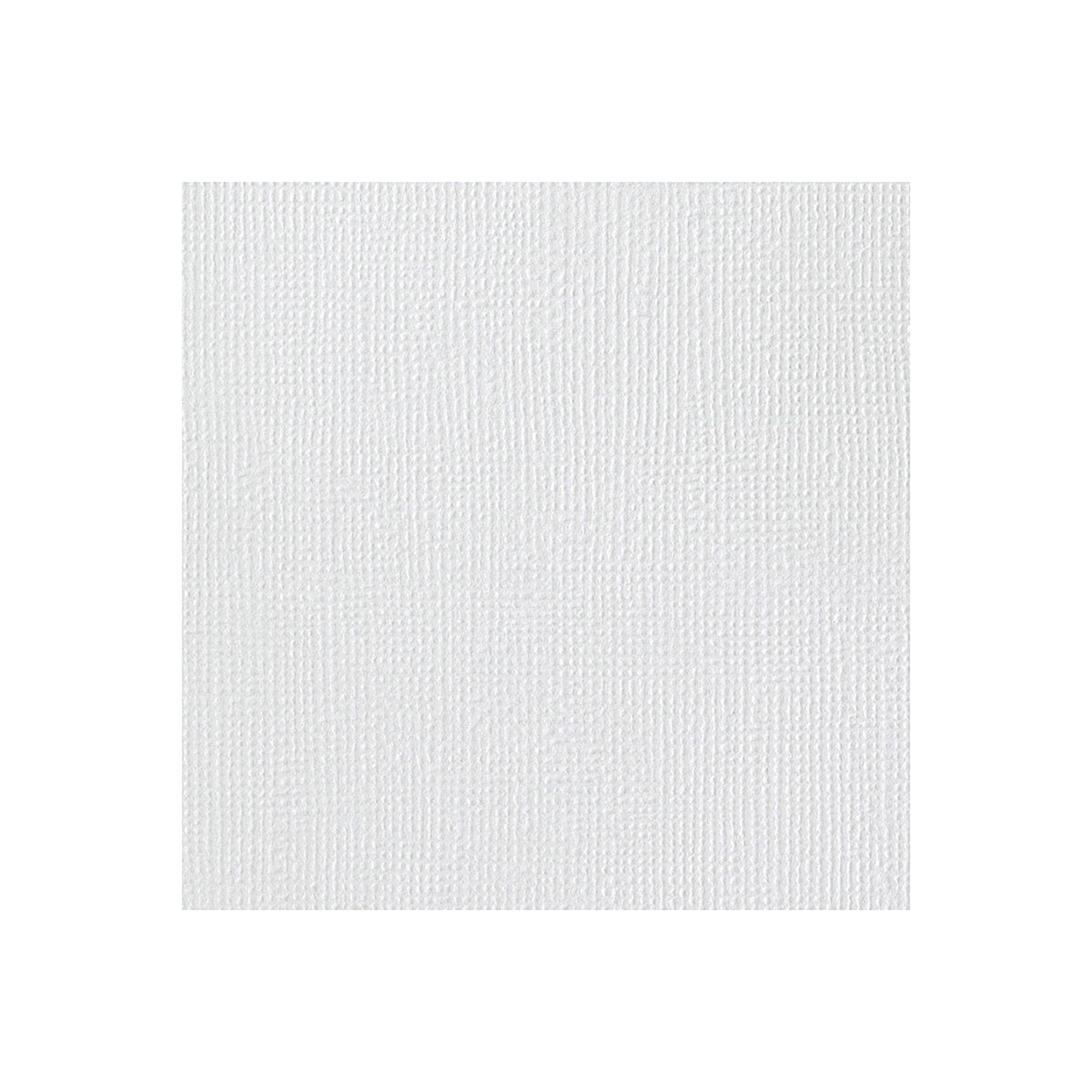 Colorbok TEXTURED SNOW WHITE 12”X12” Cardstock 40 Sheets