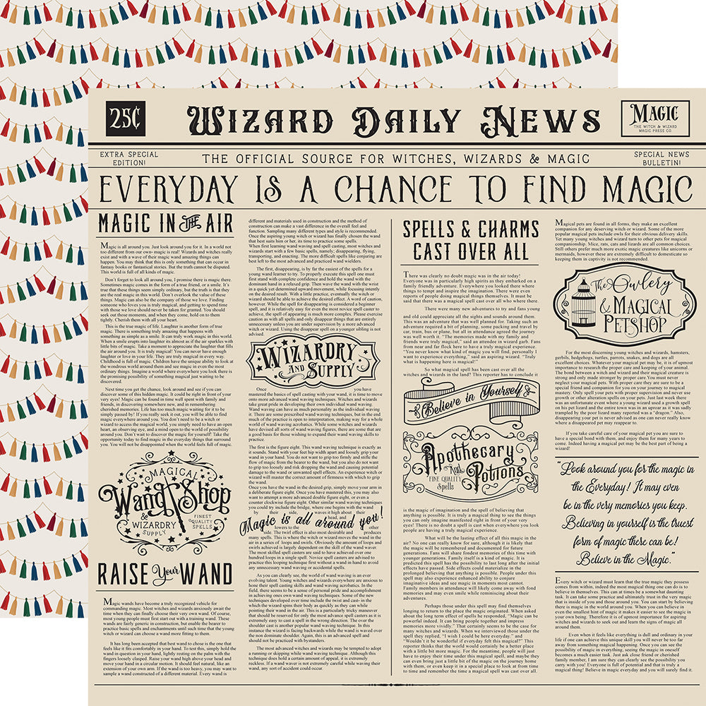 Echo Park WITCHES And WIZARDS 2 12”x12” Scrapbook Collection Kit