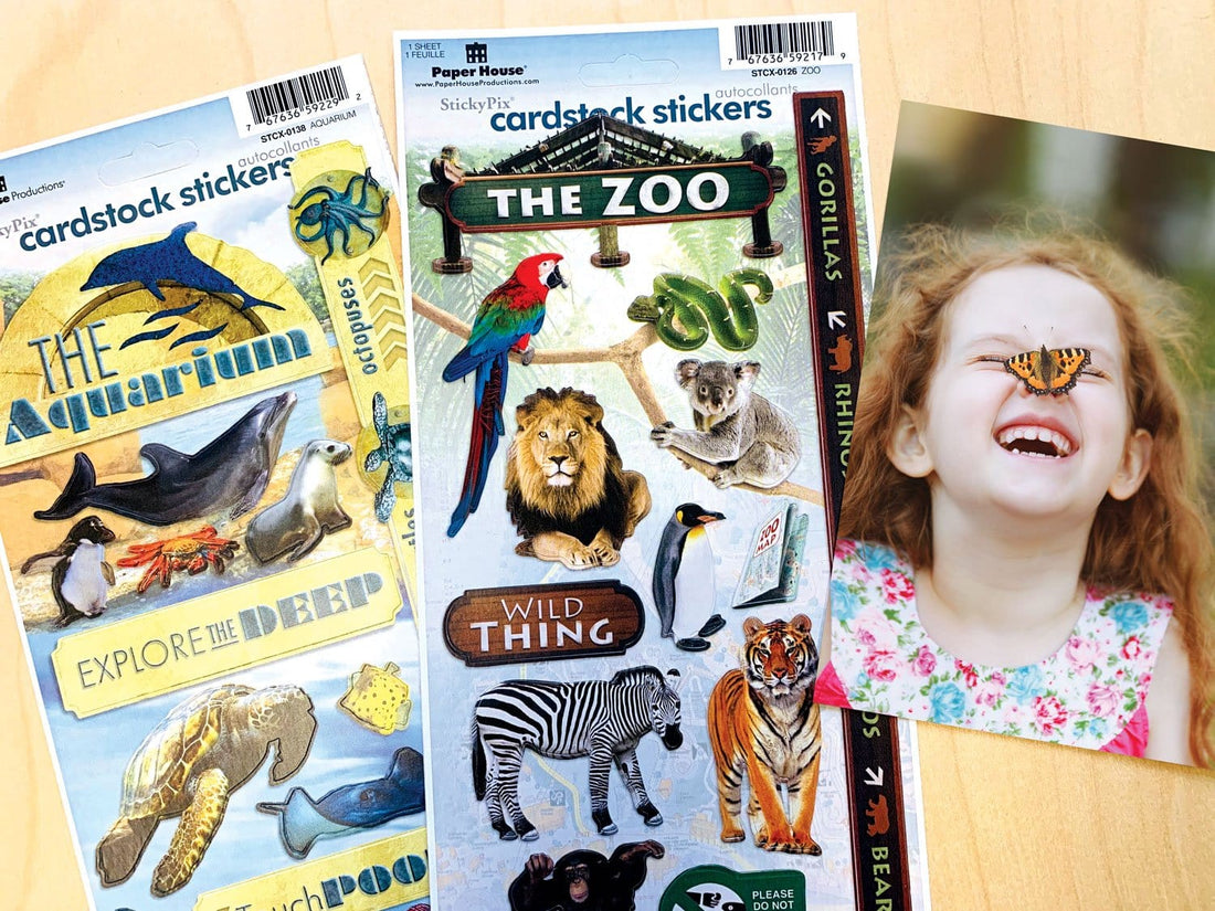 Paper House ZOO Cardstock Sticker Value Pack