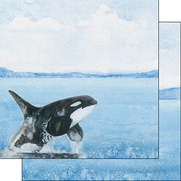 Scrapbook Customs SAFARI ORCA 12"X12" Scrapbook Paper