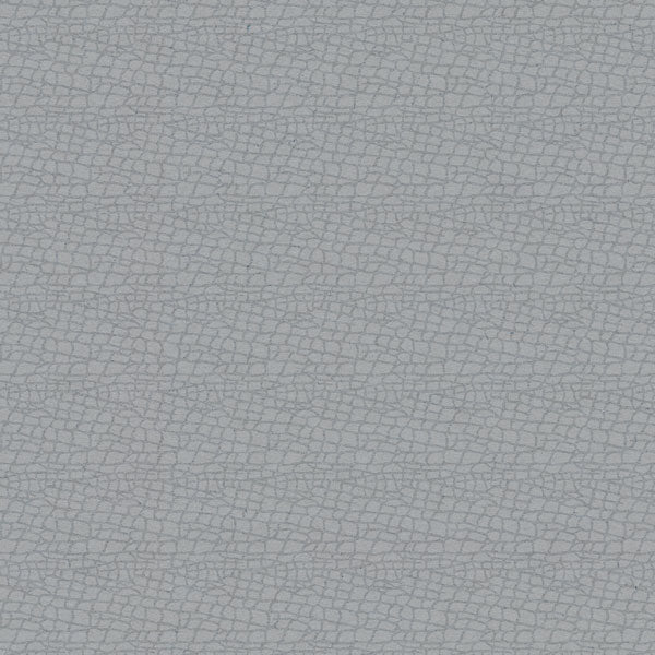 Scrapbook Customs ANIMAL PRINT 12”X12” Scrapbook Paper Pack
