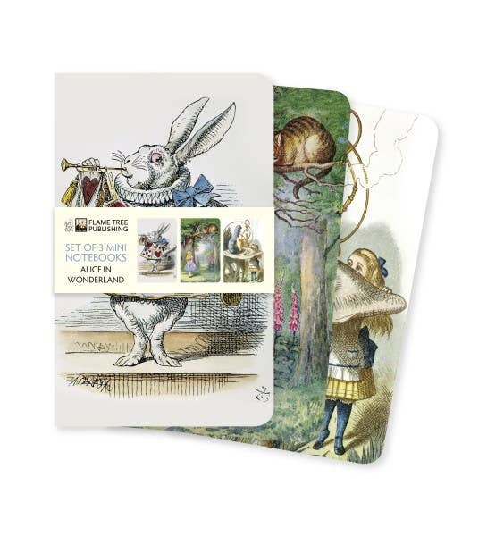 Softcover Alice In WONDERLAND SET of 3 Mini Notebooks