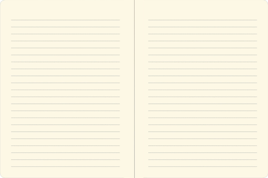 Peter Pauper AXOLOTLS Journal Notebook