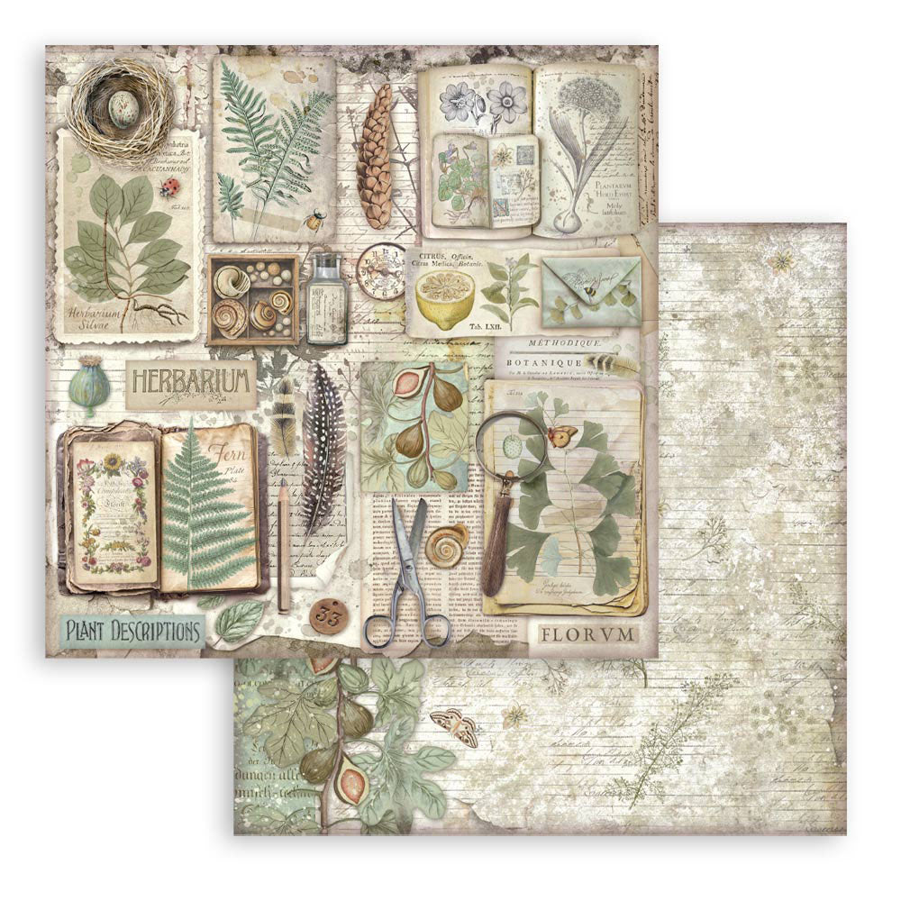 Stamperia HERBARIUM SILVAE 12”X12” Scrapbook Paper Maxi Pad
