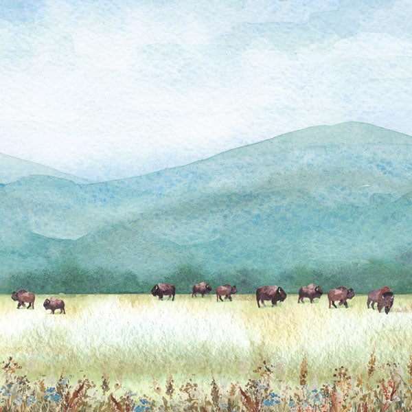 Scrapbook Customs BUFFALO BISON DS Watercolor 12"X12" Scrapbook Paper