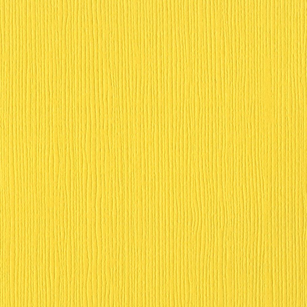 BAZZILL CARDSTOCK 12"X12" 1 Sheet Solid Core