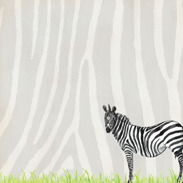 Scrapbook Customs SAFARI ZEBRA 12"X12" Scrapbook Paper