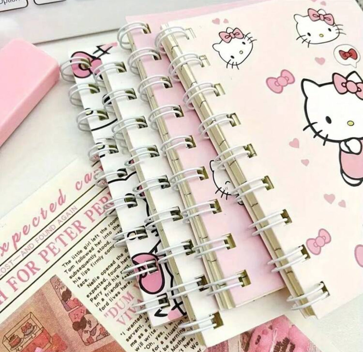 Sanrio HELLO KITTY Cartoon Spiral Notebook