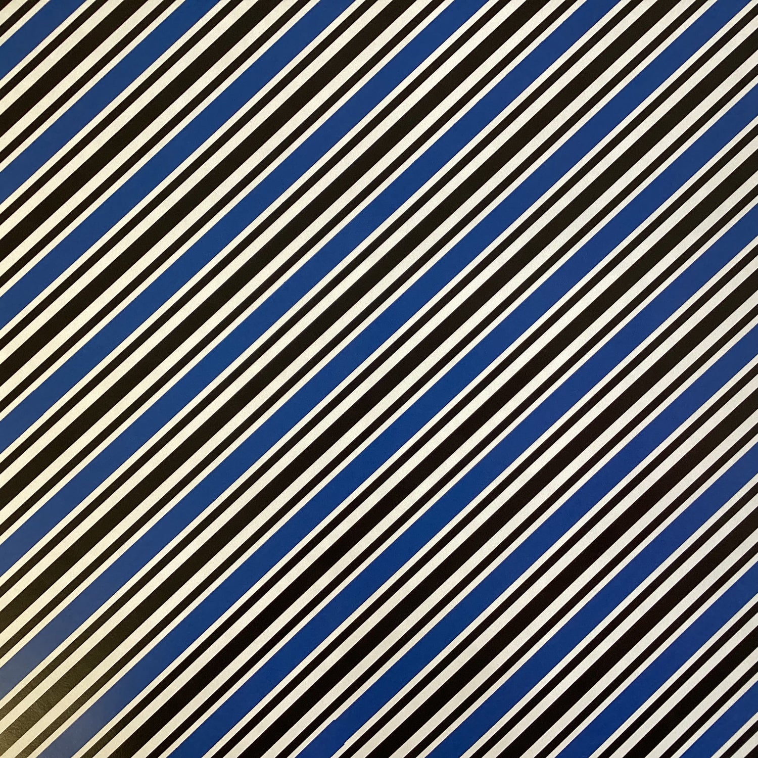 Scrapbooksrus LIONS FOOTBALL 12"X12" Scrapbook Paper Kit 12 Sheets