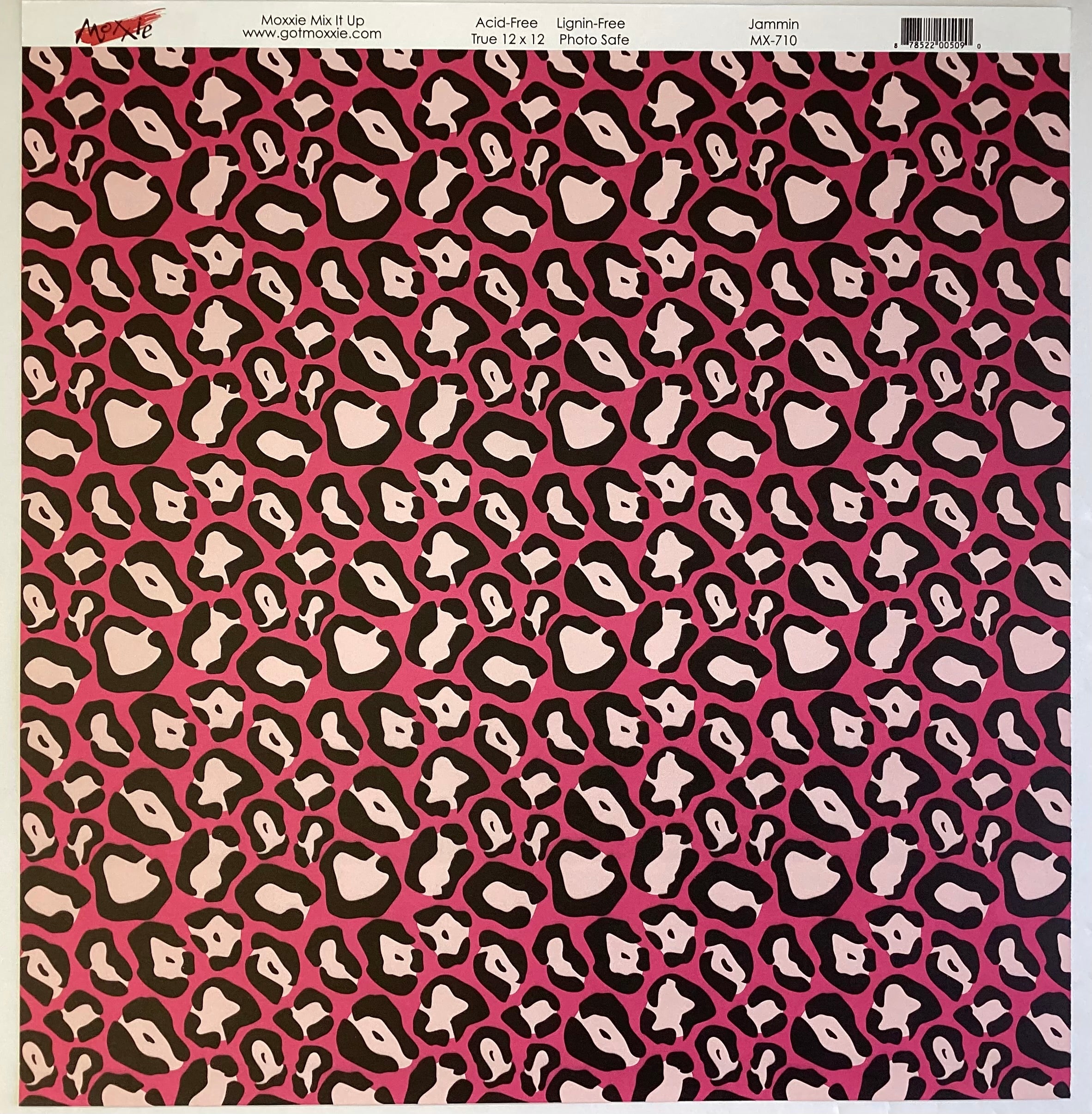 Moxxie Mix It Up JAMMIN 12"X12" Scrapbook Paper