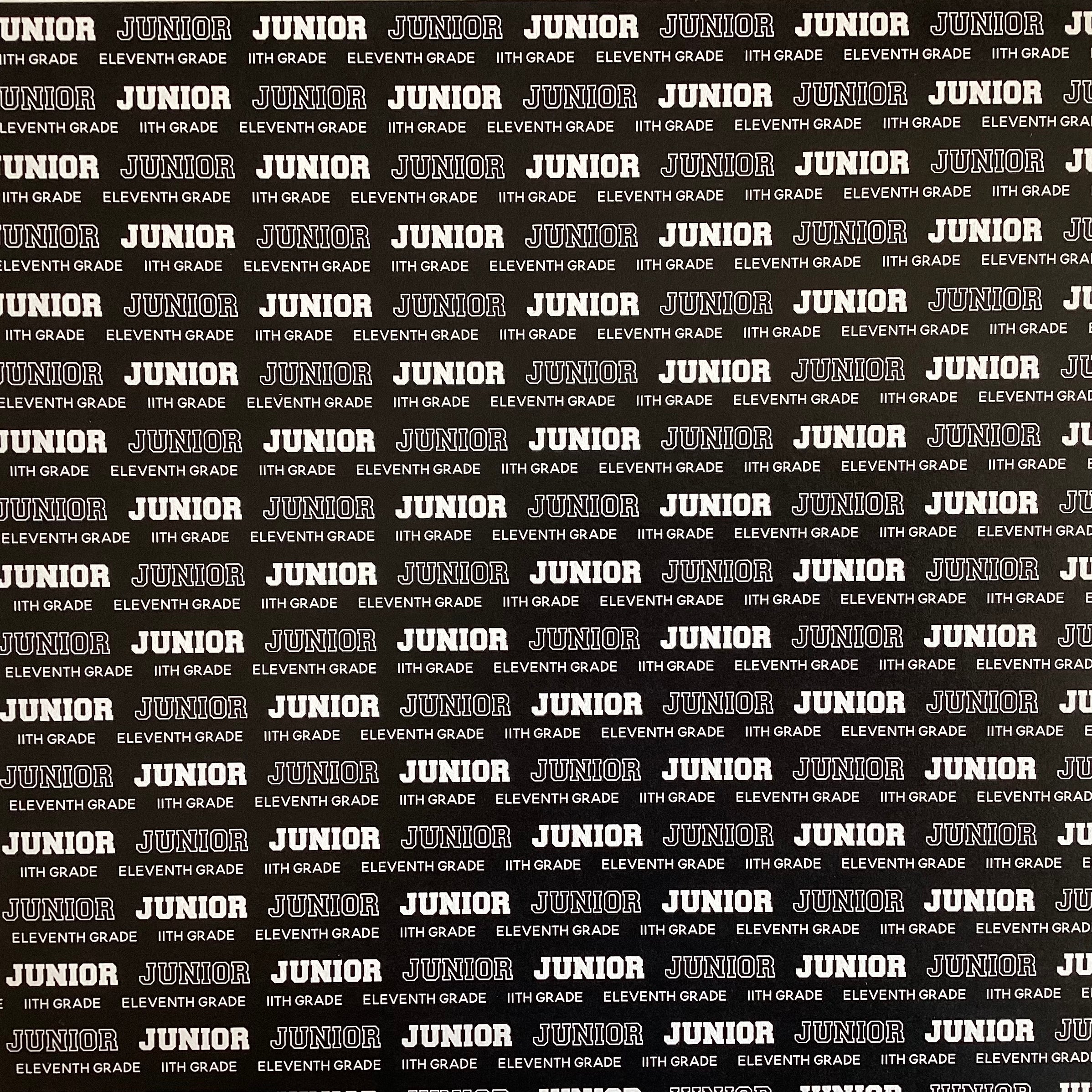 JUNIOR PRIDE 11th Grade School 12"X12" Scrapbook Paper