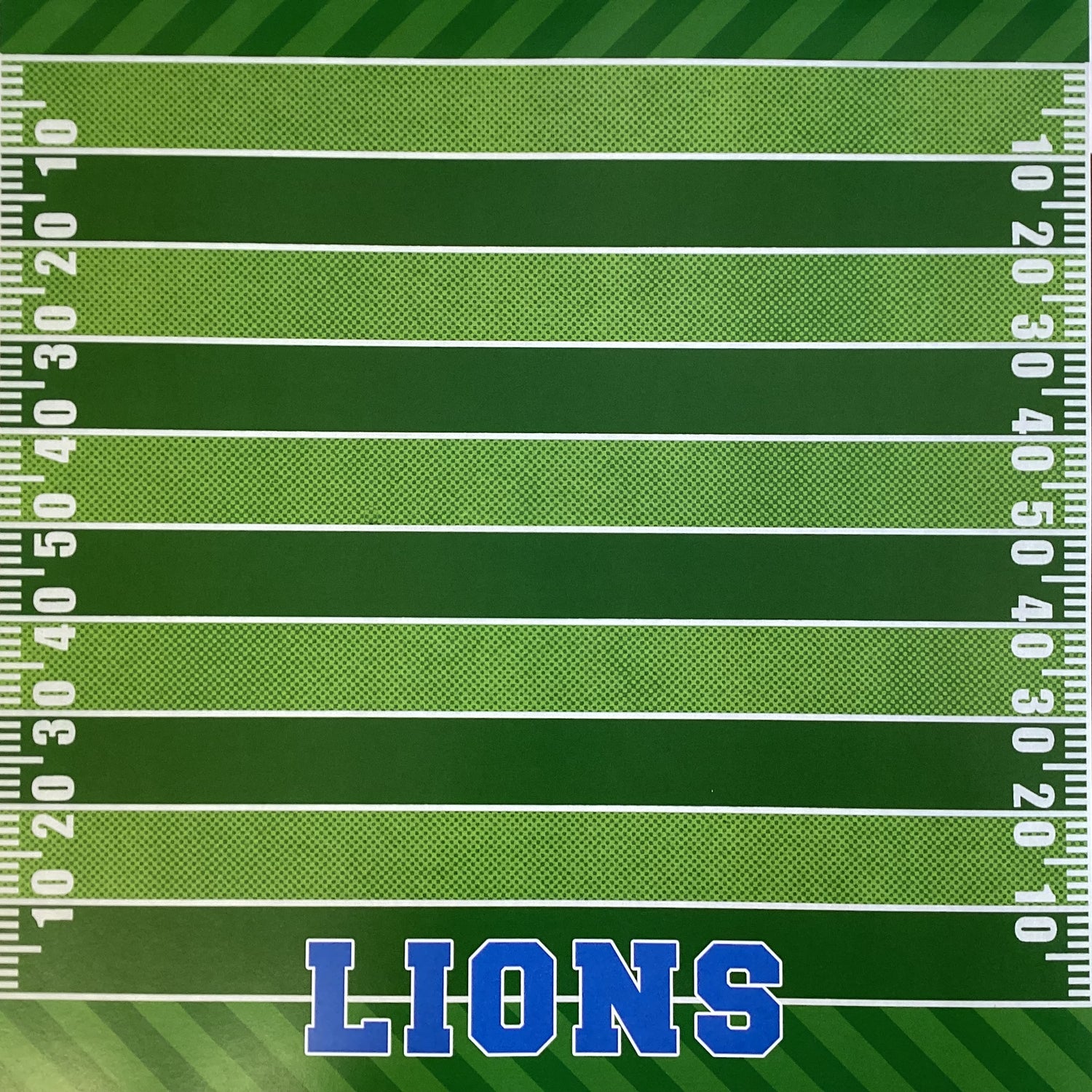 Scrapbooksrus LIONS FOOTBALL 12"X12" Scrapbook Paper Kit 12 Sheets