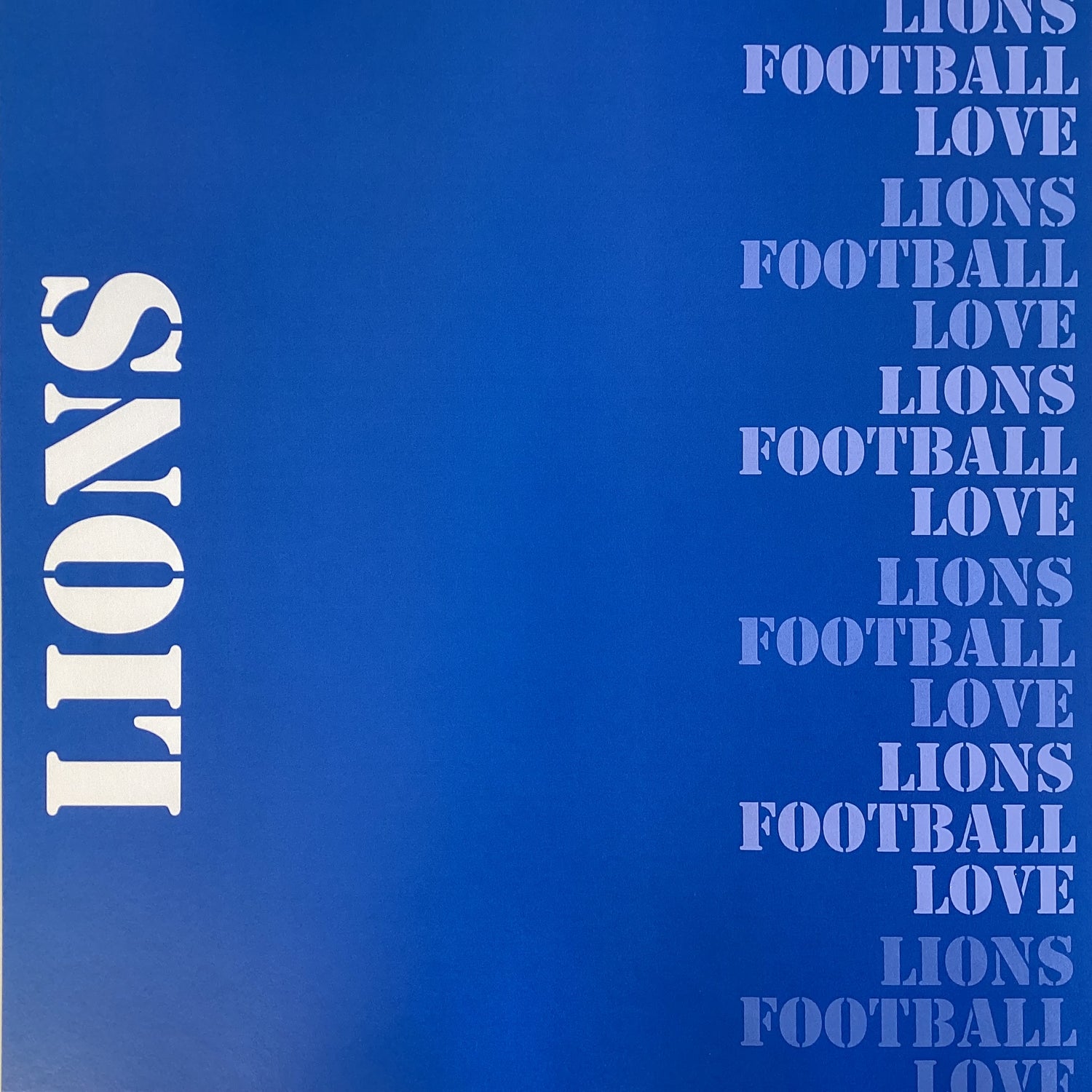 Scrapbooksrus LIONS FOOTBALL 12"X12" Scrapbook Paper Kit 12 Sheets